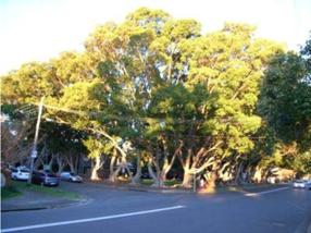 24 - Memorial Gardens.jpg