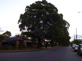 32 - Balmoral Rd.jpg