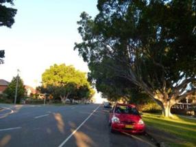 56 - Avenue of trees.jpg